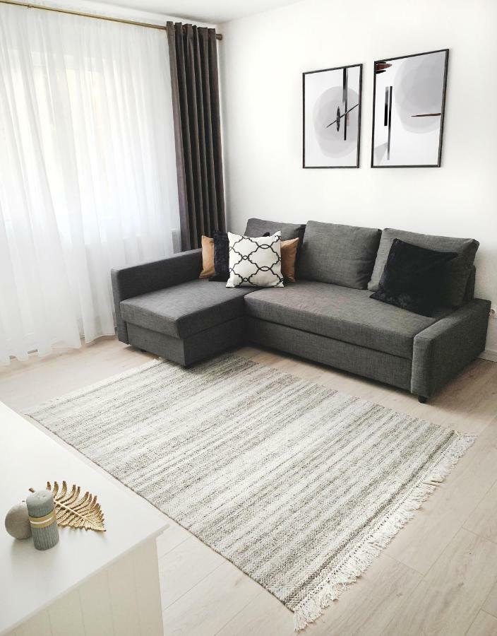 Mhc Quiet Deluxe Suite Near Downtown - Free Parking Brassó Kültér fotó